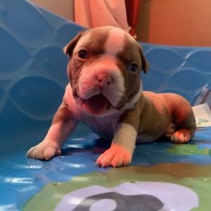 Meet your Posher, Simon